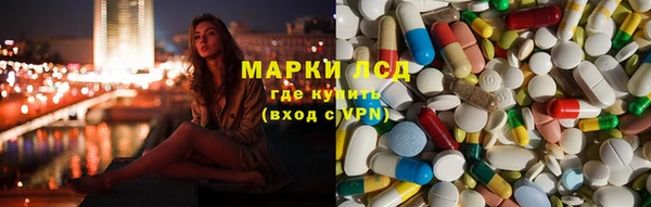 a pvp Алзамай